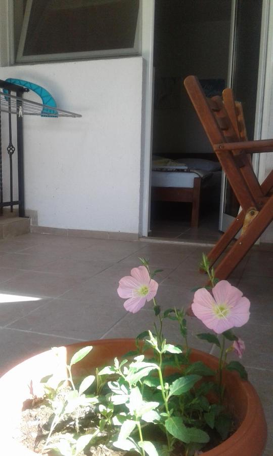 Villa Renesans Dojran Zewnętrze zdjęcie